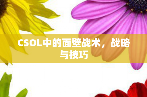 CSOL中的面壁战术图片