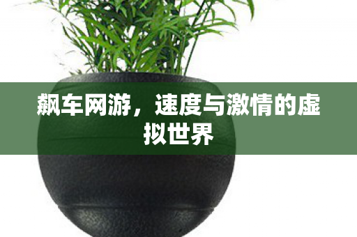 速度与激情的虚拟世界图片