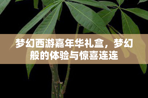 梦幻般的体验与惊喜连连图片