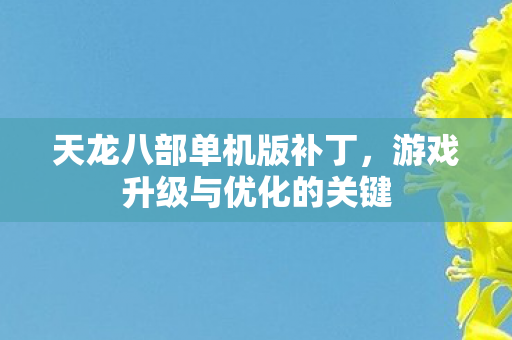 游戏升级与优化的关键图片