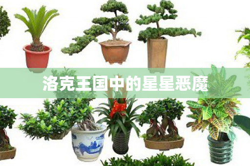 洛克王国中的星星恶魔图片
