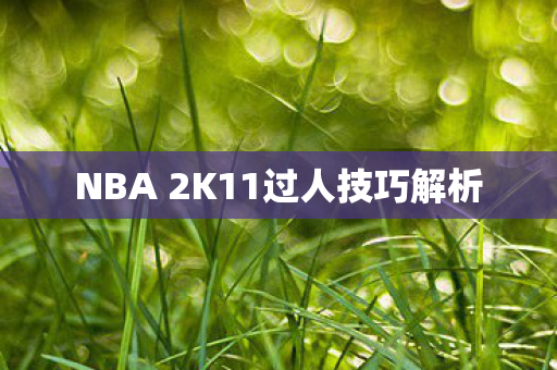 NBA 2K11过人技巧解析图片