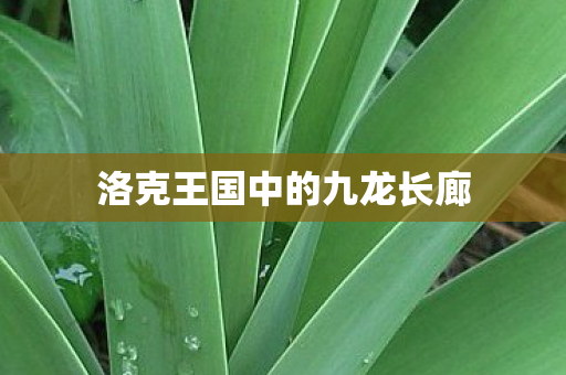 洛克王国中的九龙长廊图片