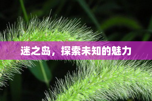 探索未知的魅力图片
