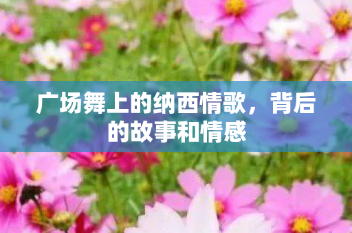 广场舞上的纳西情歌图片