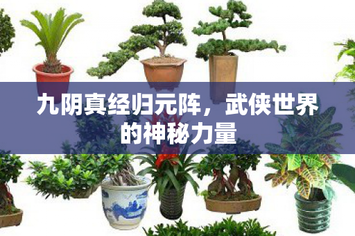 武侠世界的神秘力量图片