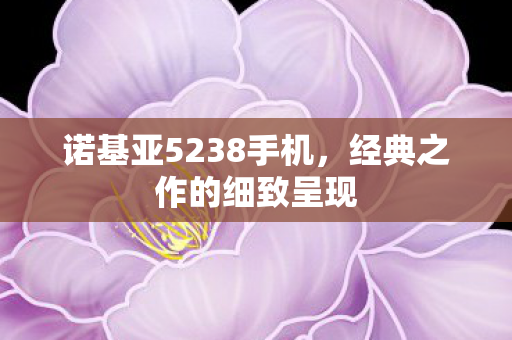 诺基亚5238手机图片