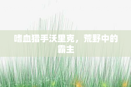 嗜血猎手沃里克图片