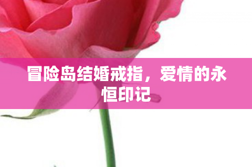 冒险岛结婚戒指图片