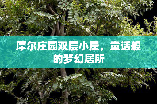 摩尔庄园双层小屋图片