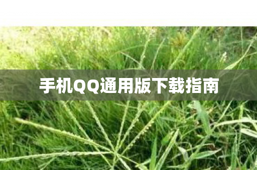 手机QQ通用版下载指南图片