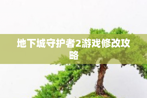 地下城守护者2游戏修改攻略图片