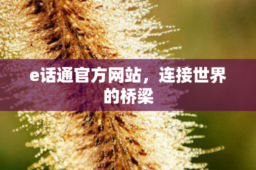 e话通官方网站图片