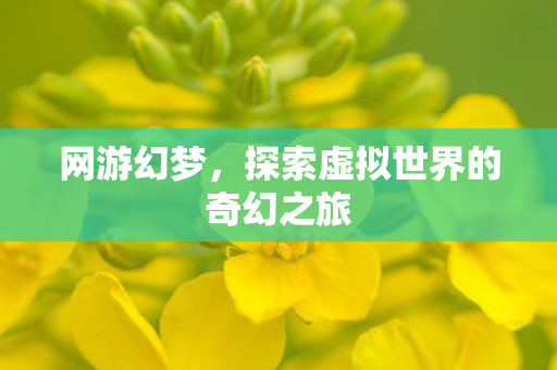 探索虚拟世界的奇幻之旅图片