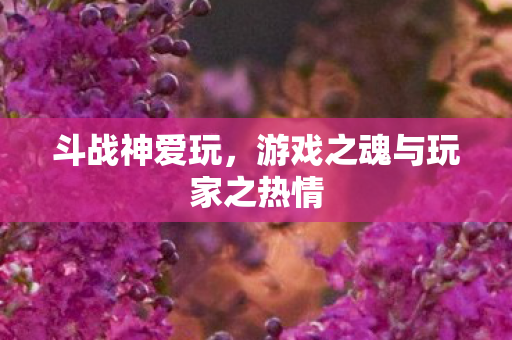 游戏之魂与玩家之热情图片