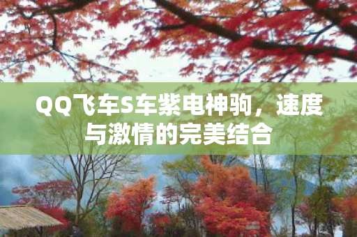 QQ飞车S车紫电神驹图片