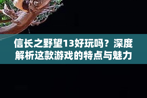 深度解析这款游戏的特点与魅力图片
