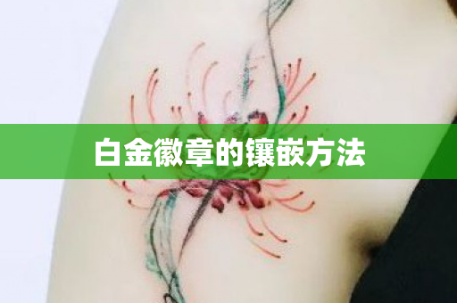 白金徽章的镶嵌方法图片