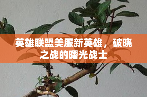 英雄联盟美服新英雄图片