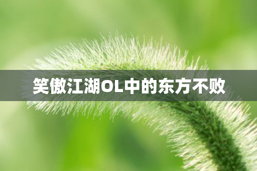 笑傲江湖OL中的东方不败图片