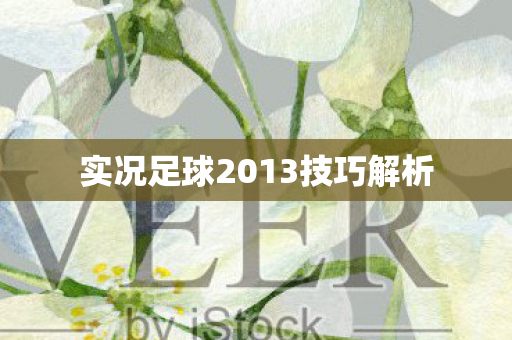 实况足球2013技巧解析图片