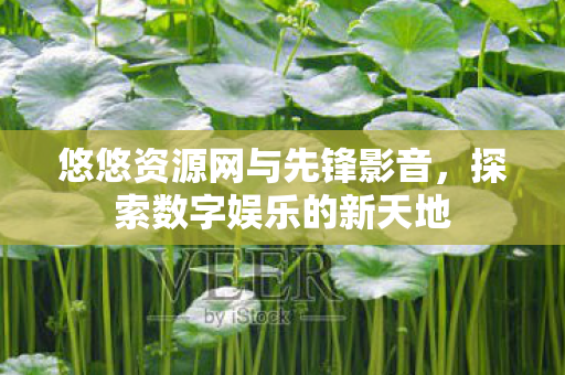 悠悠资源网与先锋影音图片