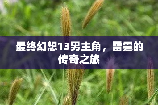最终幻想13男主角图片
