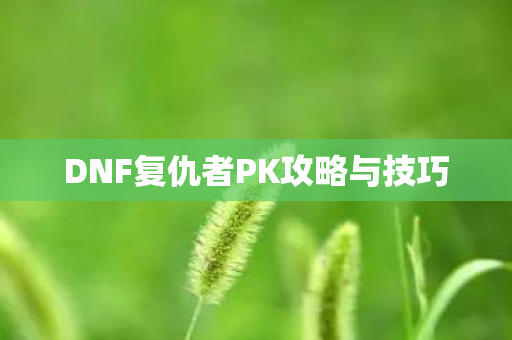 DNF复仇者PK攻略与技巧图片