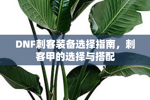 DNF刺客装备选择指南图片