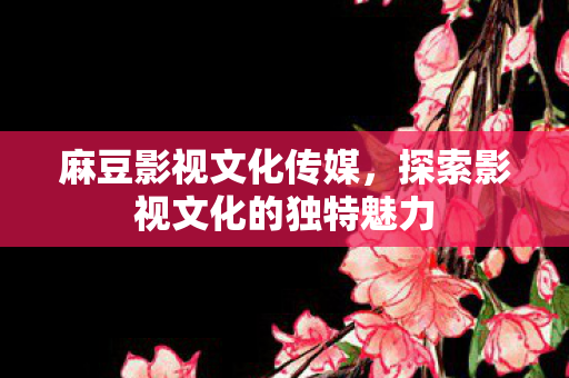 探索影视文化的独特魅力图片