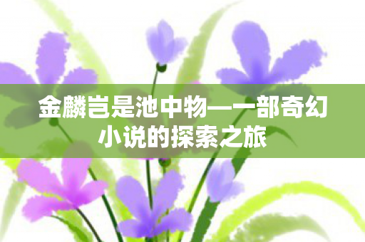 一部奇幻小说的探索之旅图片