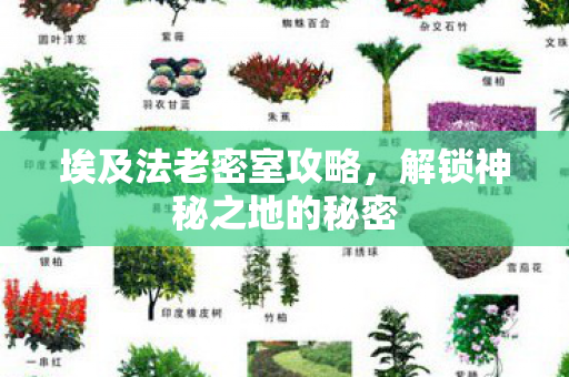 解锁神秘之地的秘密图片