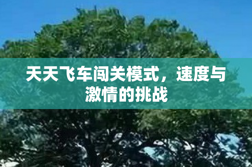 天天飞车闯关模式图片