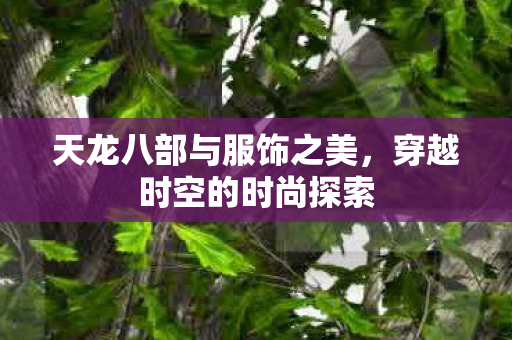 天龙八部与服饰之美图片