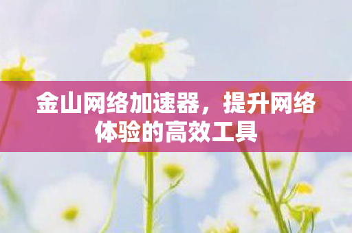 提升网络体验的高效工具图片
