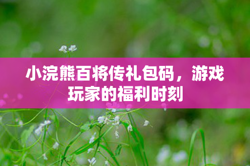 小浣熊百将传礼包码图片