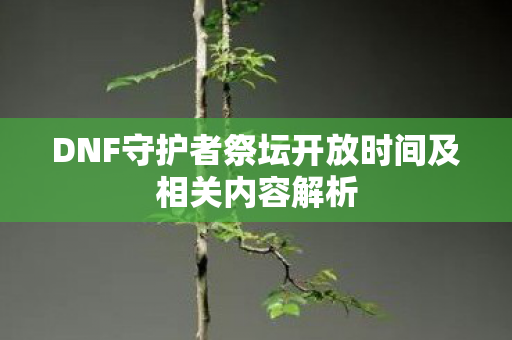 DNF守护者祭坛开放时间及相关内容解析图片