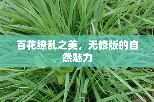 无修版的自然魅力图片