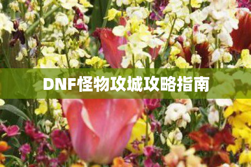 DNF怪物攻城攻略指南图片