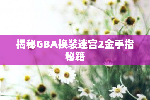 揭秘GBA换装迷宫2金手指秘籍图片