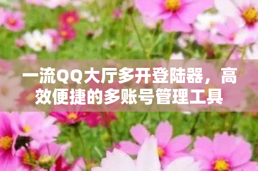 高效便捷的多账号管理工具图片