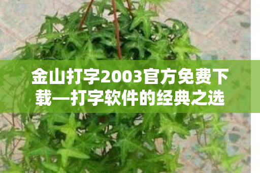 金山打字2003官方免费下载图片
