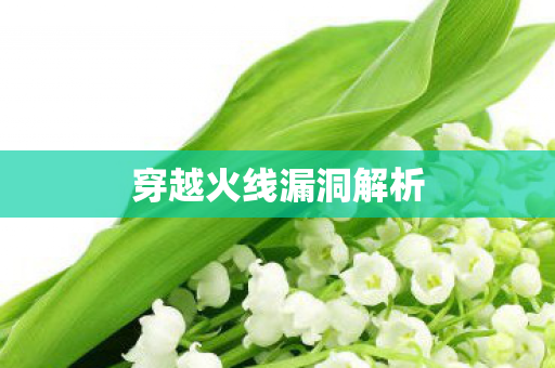 穿越火线漏洞解析图片