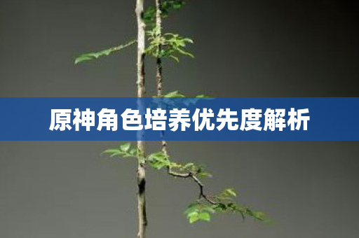 原神角色培养优先度解析图片