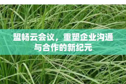 重塑企业沟通与合作的新纪元图片