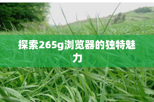 探索265g浏览器的独特魅力图片