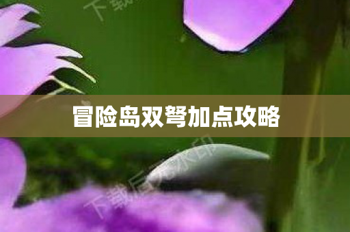 冒险岛双弩加点攻略图片