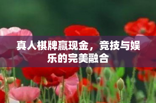 竞技与娱乐的完美融合图片
