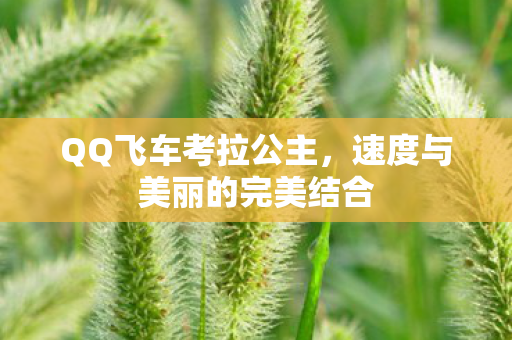 速度与美丽的完美结合图片