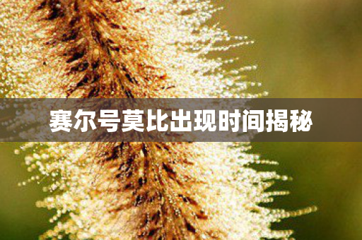 赛尔号莫比出现时间揭秘图片